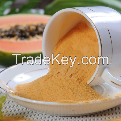 SUPERFOOD PAPAYA POWDER / VITAMIN-RICH & PURE / BULK DISCOUNT PRICING / MADE IN VIETNAM 