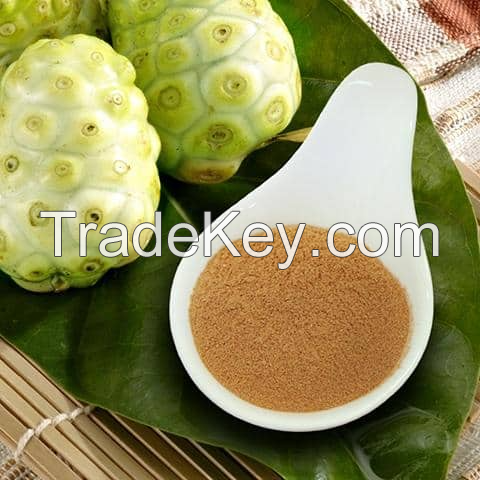 RAW DRIED NONI POWDER / IMMUNITY & ENERGY BOOSTER / EXCELLENT BULK PRICES / MADE IN VIETNAM