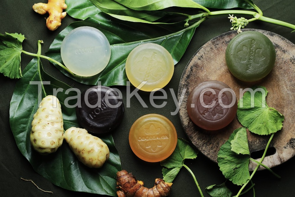 ALL-NATURAL DRIED NONI SOAP / ECO-FRIENDLY & MOISTURIZING / AFFORDABLE BULK SUPPLY / MADE IN VIETNAM