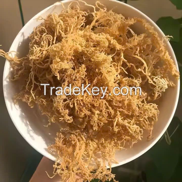 PURE GOLD SEAMOSS / NUTRIENT-RICH SUPERFOOD / MADE IN VIETNAM