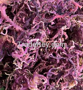 DRIED GOLD & PURPLE SEA MOSS WITH SALT OR SALT-FREE / VIETNAM SEAWEED FOR WELLNESS / MADE IN VIETNAM