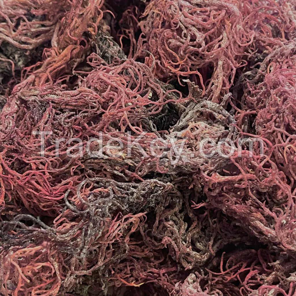 100% NATURAL PURPLE SEAMOSS / SOURCE OF ESSENTIAL NUTRIENTS / MADE IN VIETNAM