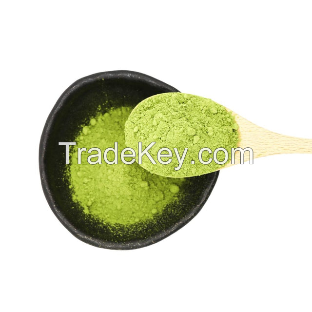 NATURAL CENTELLA ASIATICA POWDER / PREMIUM HERBAL QUALITY / AFFORDABLE PRICES FOR WHOLESALE / MADE IN VIETNAM 