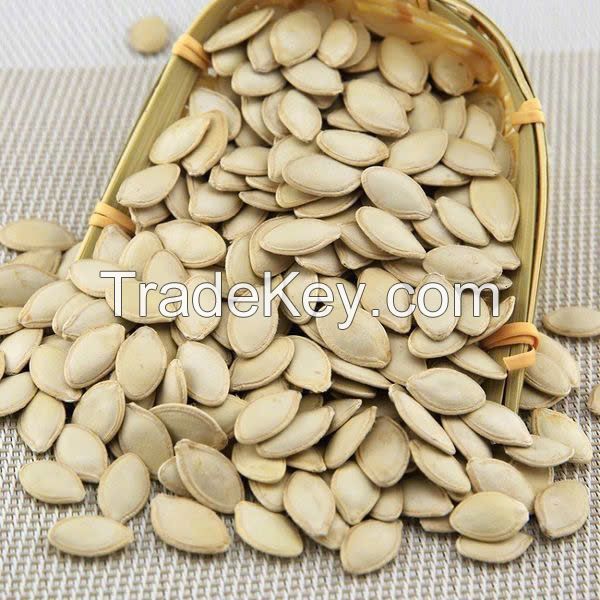 CLASSIC SALT-ROASTED PUMPKIN SEEDS / CRUNCHY AND SAVORY / MADE IN VIETNAM