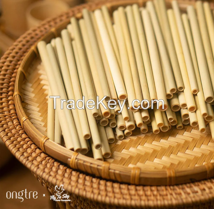 HANDCRAFTED BAMBOO STRAWS / HIGH-QUALITY & MULTI-USE / AFFORDABLE BULK PRICES AVAILABLE / MADE IN VIETNAM 