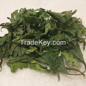 HIGH-QUALITY DRIED CELERY LEAVES / SUN-DRIED TO PERFECTION FOR CULINARY AND HEALTH USES