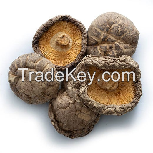 ORGANIC SHIITAKE MUSHROOM / HARVESTED FOR NATURAL TASTE / MADE IN VIETNAM