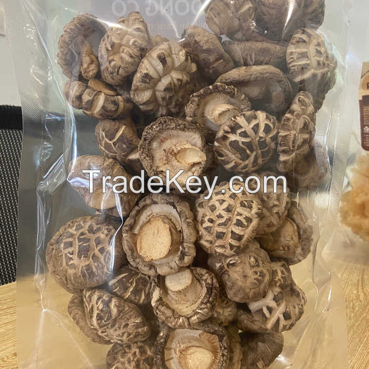 ORGANIC SHIITAKE MUSHROOM / HARVESTED FOR NATURAL TASTE / MADE IN VIETNAM