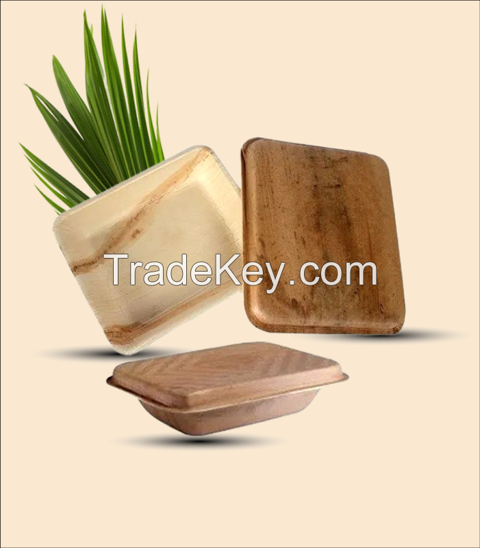 ORGANIC ARECA BOX / ENVIRONMENTALLY FRIENDLY & STYLISH / BEST BULK DEALS ONLINE / MADE IN VIETNAM 