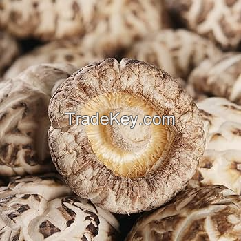 ORGANIC SHIITAKE MUSHROOM / HARVESTED FOR NATURAL TASTE / MADE IN VIETNAM