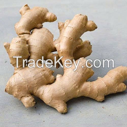 PURE GINGER WHOLE / NATURAL AND SPICY / MADE IN VIETNAM