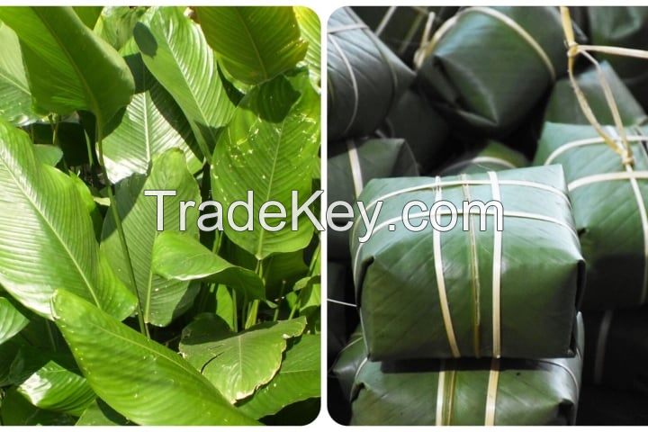 ORGANIC DONG LEAVES / VERSATILE COOKING WRAP / MADE IN VIETNAM