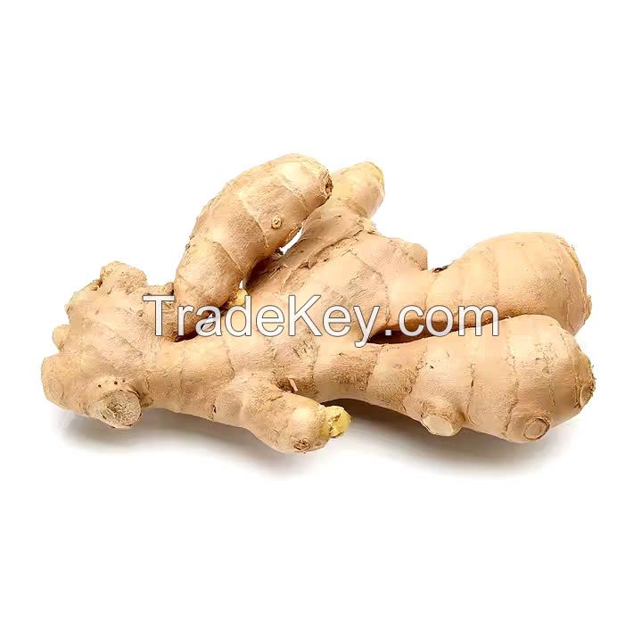 PURE GINGER WHOLE / NATURAL AND SPICY / MADE IN VIETNAM