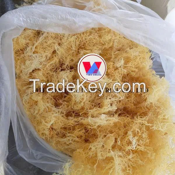 ORGANIC DRIED SEAMOSS / ECO-FRIENDLY & MULTI-PURPOSE / LOW-COST BULK SUPPLY / MADE IN VIETNAM 