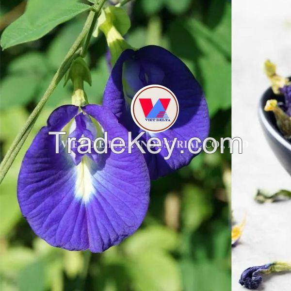 BLUE HERBAL DRIED BUTTERFLY PEA FLOWER / PREMIUM ORGANIC TEA & COLORFUL / BEST BULK WHOLESALE OFFERS / MADE IN VIETNAM 