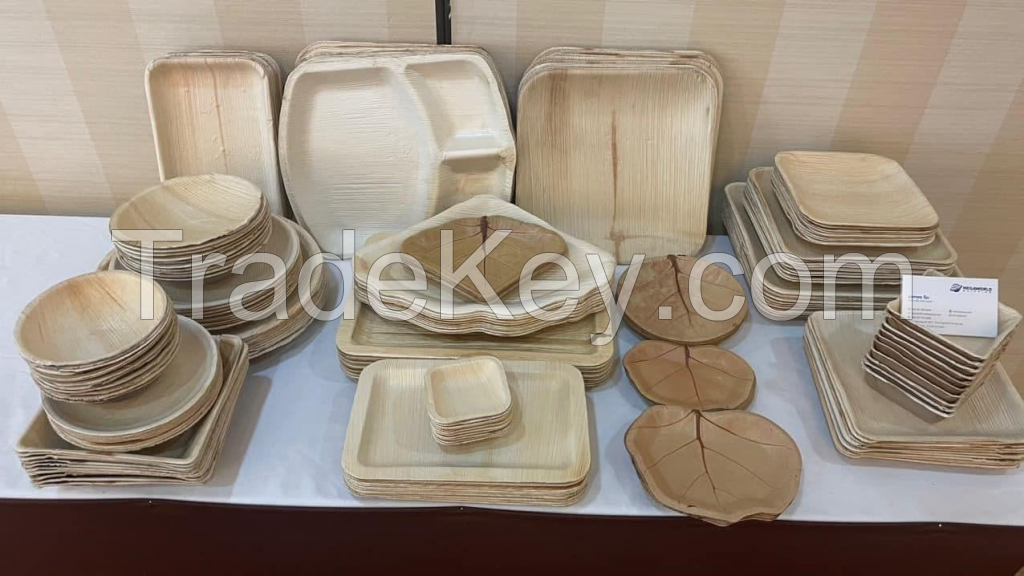 SUSTAINABLE BAGASSE ARECA SHELL CONTAINER / NATURAL DESIGN / MADE IN VIETNAM