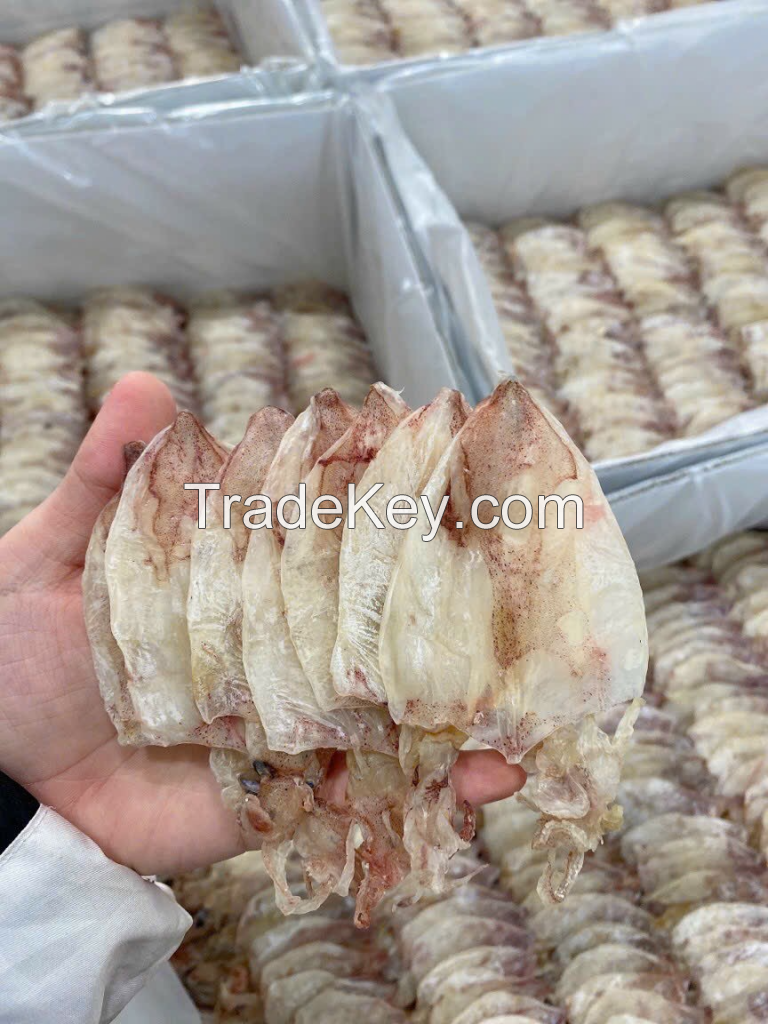 FRESHLY DRIED SQUID / RICH SEAFOOD FLAVOR & ORGANIC / LOW-COST DEALS ONLINE / MADE IN VIETNAM