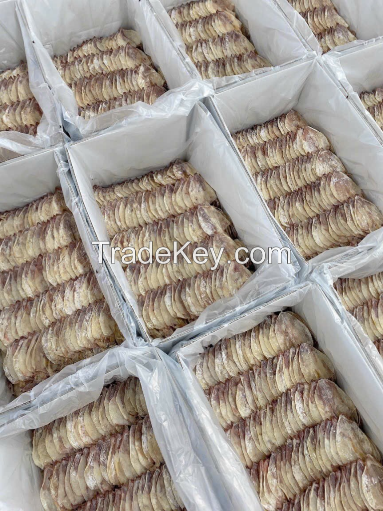 FRESHLY DRIED SQUID / RICH SEAFOOD FLAVOR & ORGANIC / LOW-COST DEALS ONLINE / MADE IN VIETNAM