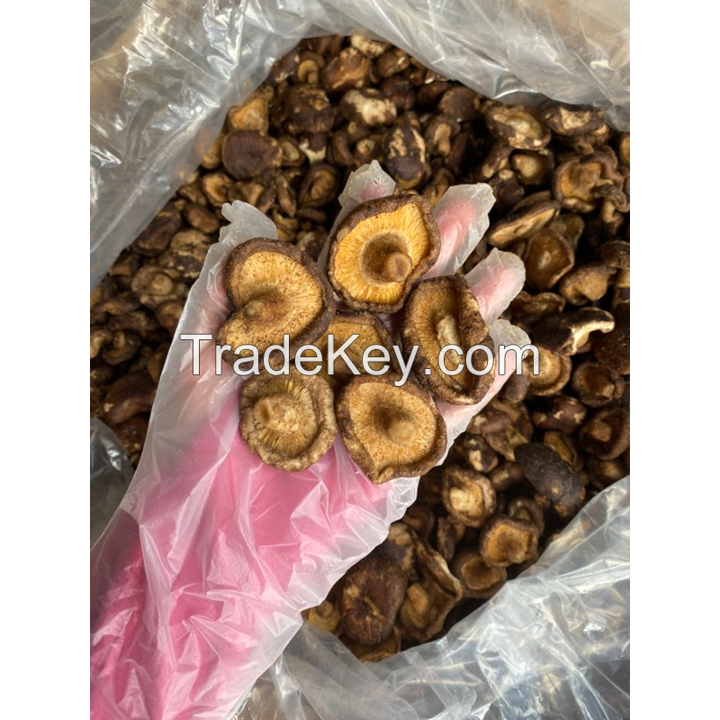GOLDEN CRISPY SHIITAKE MUSHROOMS / LIGHT & CRUNCHY SNACK / MADE IN VIETNAM