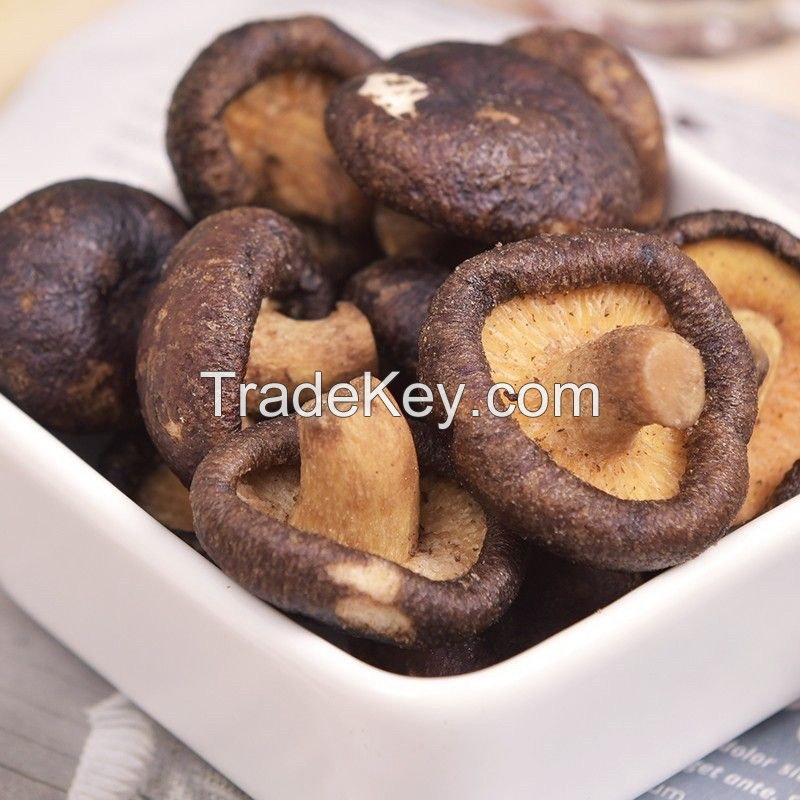 GOLDEN CRISPY SHIITAKE MUSHROOMS / LIGHT & CRUNCHY SNACK / MADE IN VIETNAM