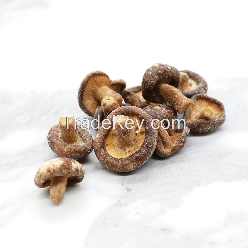 GOLDEN CRISPY SHIITAKE MUSHROOMS / LIGHT & CRUNCHY SNACK / MADE IN VIETNAM