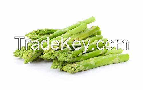 GREEN ASPARAGUS POWDER / NUTRIENT-RICH AND VERSATILE / MADE IN VIETNAM
