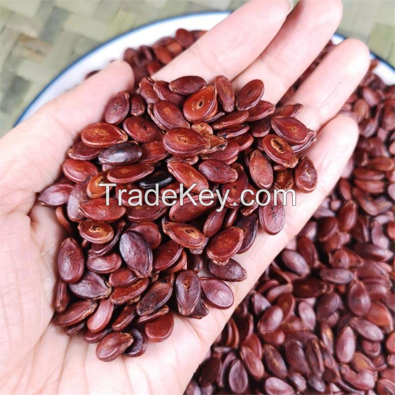 CRISPY ROASTED MELON SEEDS / NATURALLY FLAVORFUL SNACK / MADE IN VIETNAM