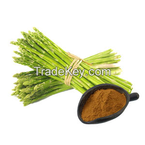 GREEN ASPARAGUS POWDER / NUTRIENT-RICH AND VERSATILE / MADE IN VIETNAM