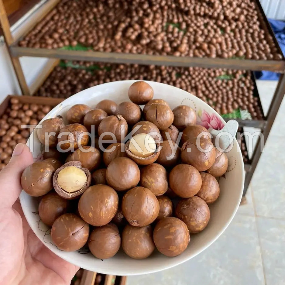 PREMIUM WHOLE MACADAMIA NUTS / RICH & BUTTERY FLAVOR / MADE IN VIETNAM