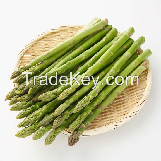 GREEN ASPARAGUS POWDER / NUTRIENT-RICH AND VERSATILE / MADE IN VIETNAM