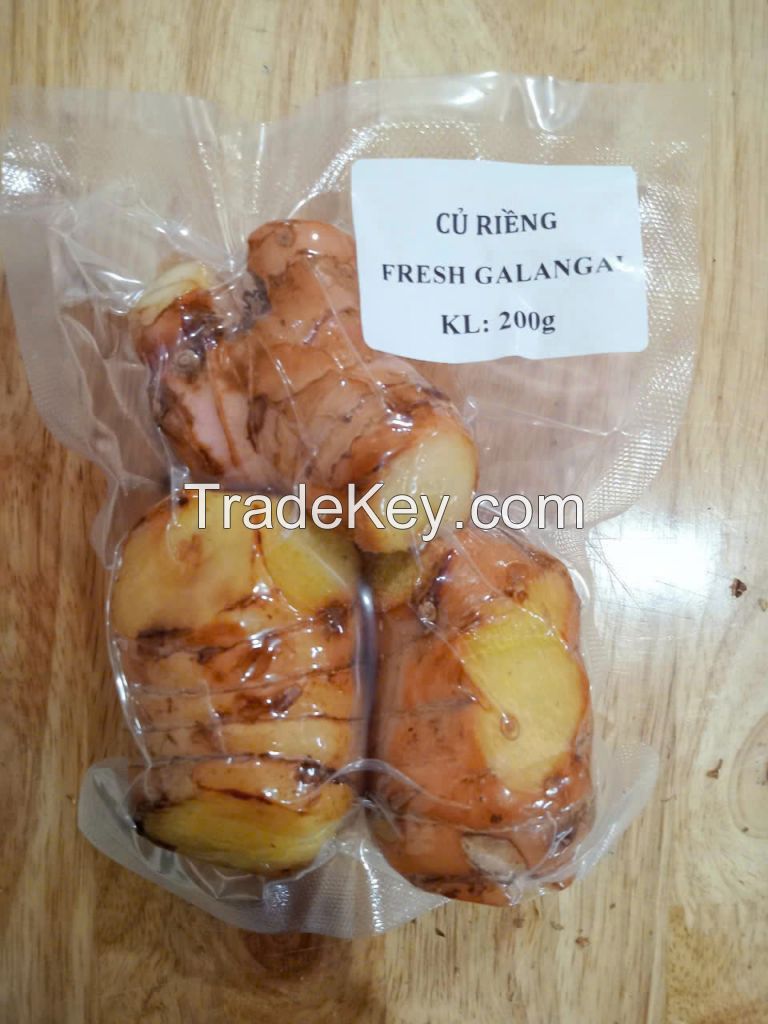 FRESH AND AROMATIC GALANGA / FAMILY RECIPE / AFFORDABLE VALUE / MADE IN VIETNAM