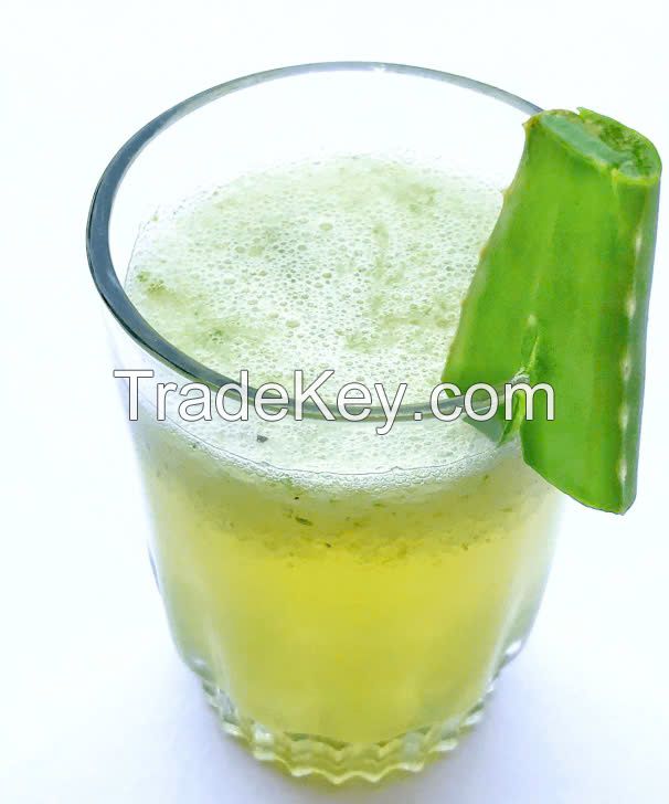 NATURAL ALOE VERA PUREE / SOOTHING & REFRESHING / BEST FOR DRINKS & SKINCARE / MADE IN VIETNAM