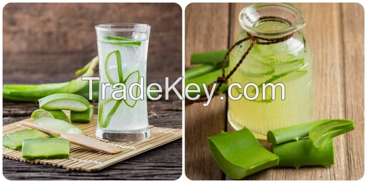 HIGH-QUALITY ALOE VERA PUREE / NO ADDITIVES / PERFECT FOR HEALTH & BEAUTY / MADE IN VIETNAM