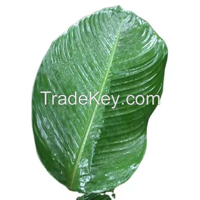 FRESH AND FLEXIBLE DONG LEAVES / FAMILY RECIPE / AFFORDABLE VALUE / MADE IN VIETNAM