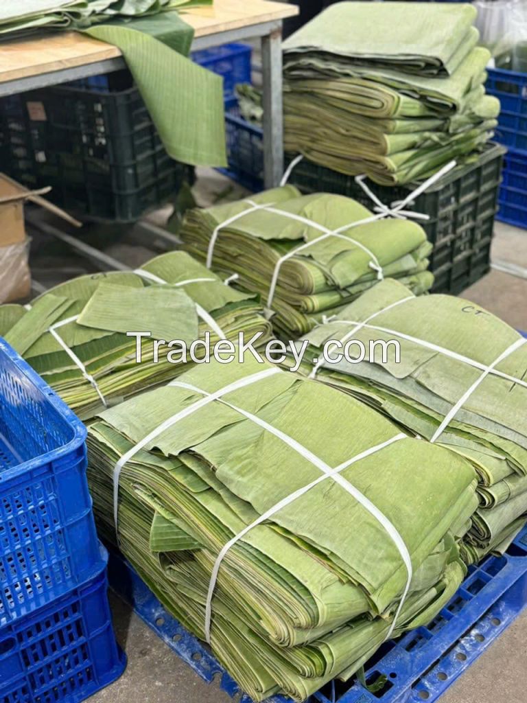 NATURAL AND BIODEGRADABLE DONG LEAVES / TRADITIONAL PACKAGING / GREAT VALUE / MADE IN VIETNAM