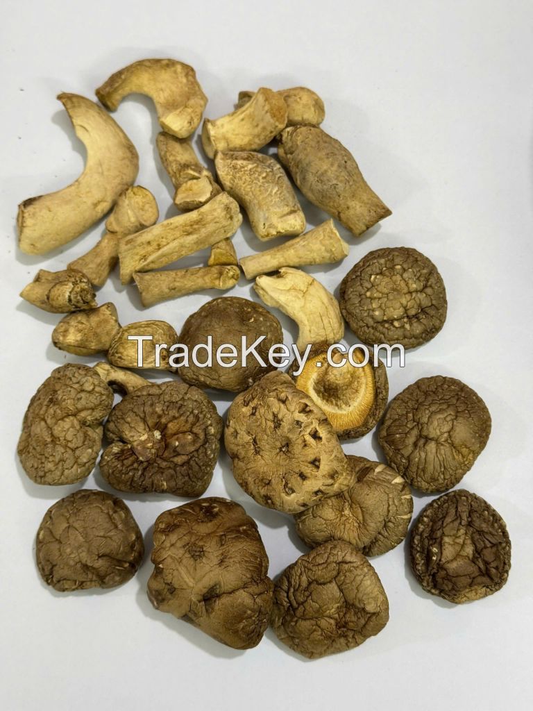 RICH AND EARTHY SHIITAKE MUSHROOMS / FAMILY RECIPE / AFFORDABLE VALUE / MADE IN VIETNAM