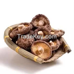 RICH AND EARTHY SHIITAKE MUSHROOMS / FAMILY RECIPE / AFFORDABLE VALUE / MADE IN VIETNAM