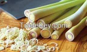 PREMIUM QUALITY FRESH LEMONGRASS / FAMILY RECIPE / AFFORDABLE VALUE / MADE IN VIETNAM