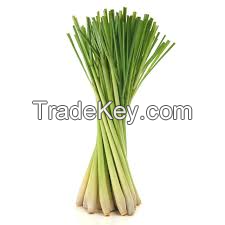 Crisp And Aromatic Fresh Lemongrass / Family Recipe / Affordable Value / Made In Vietnam