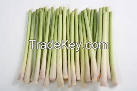 PREMIUM QUALITY FRESH LEMONGRASS / FAMILY RECIPE / AFFORDABLE VALUE / MADE IN VIETNAM