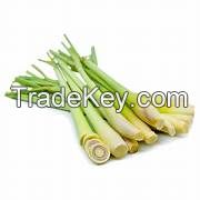 DELICATELY DRIED LEMONGRASS / FAMILY RECIPE / AFFORDABLE VALUE / MADE IN VIETNAM