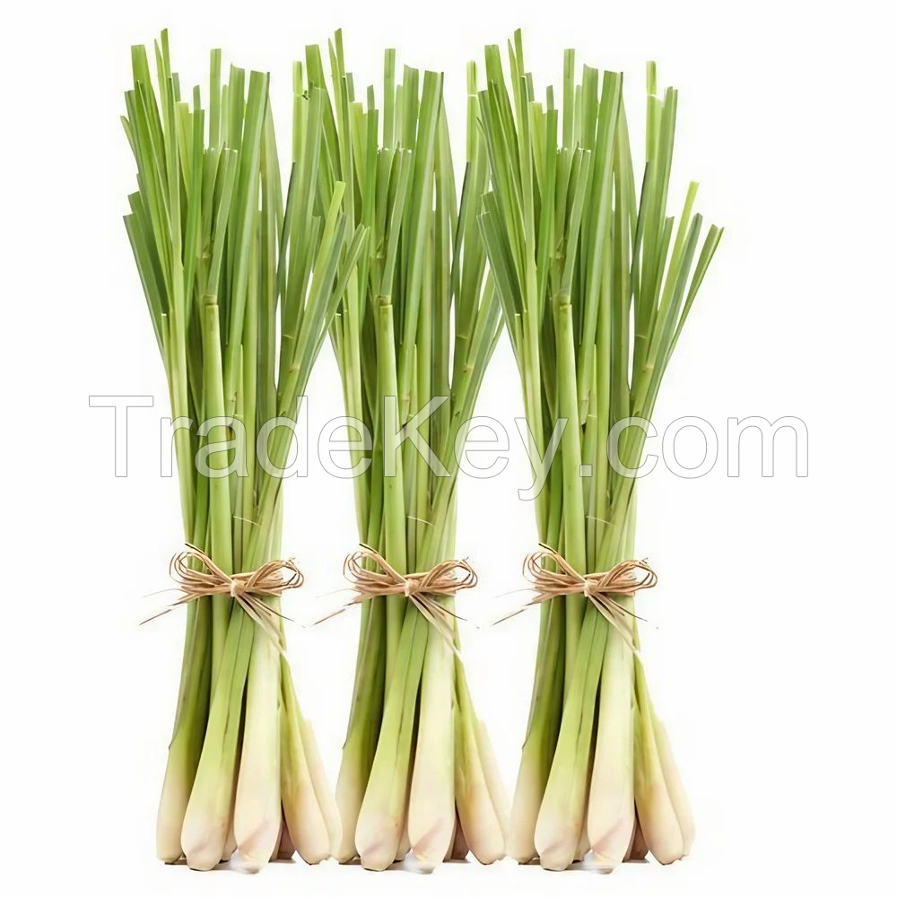 DELICATELY DRIED LEMONGRASS / FAMILY RECIPE / AFFORDABLE VALUE / MADE IN VIETNAM