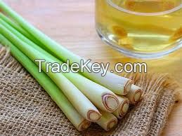 Crisp And Aromatic Fresh Lemongrass / Family Recipe / Affordable Value / Made In Vietnam