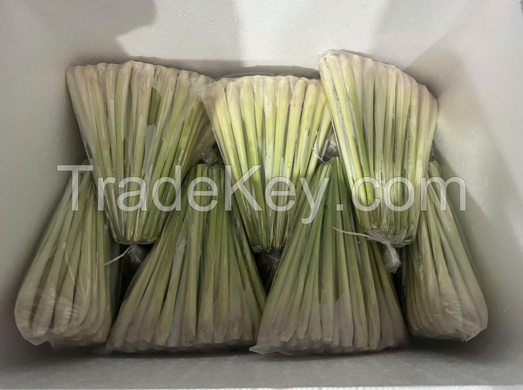 PREMIUM QUALITY FRESH LEMONGRASS / FAMILY RECIPE / AFFORDABLE VALUE / MADE IN VIETNAM