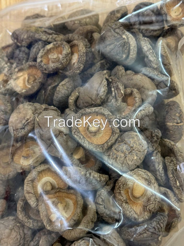 TENDER AND SAVORY SHIITAKE MUSHROOMS / FARM FRESH / AFFORDABLE TASTE / PRODUCED IN VIETNAM