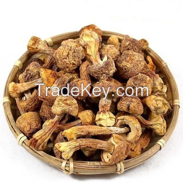 DELICIOUSLY DRIED SHIITAKE MUSHROOMS / HANDPICKED EXCELLENCE / GOURMET INGREDIENT / MADE IN VIETNAMUSHROOMS / TRADITIONAL GOODNESS / AFFORDABLE VALUE / MADE IN VIETNAM