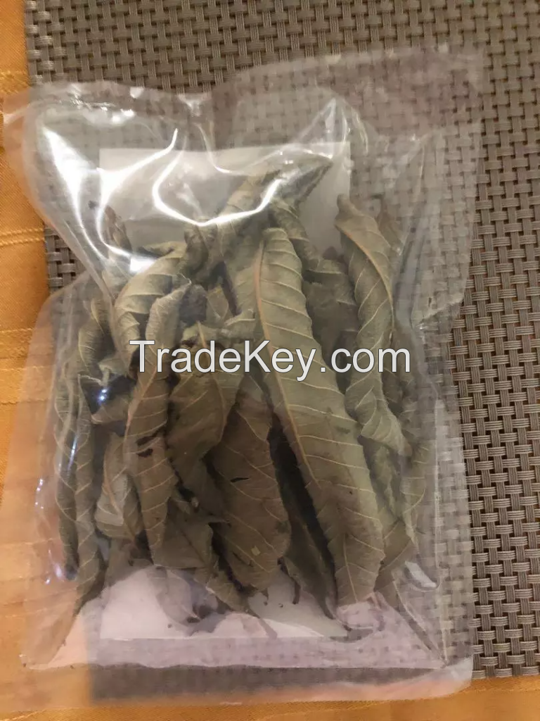 GUAVA LEAVES DRIED WHOLE / TEA-READY / NATURAL HEALTH SUPPORT / MADE IN VIETNAM