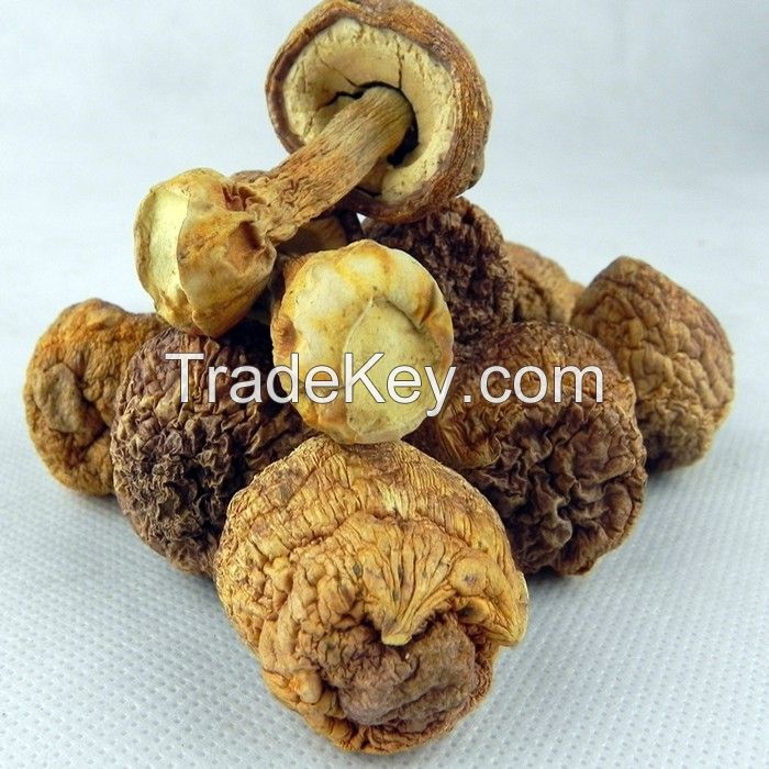 DELICIOUSLY DRIED SHIITAKE MUSHROOMS / HANDPICKED EXCELLENCE / GOURMET INGREDIENT / MADE IN VIETNAMUSHROOMS / TRADITIONAL GOODNESS / AFFORDABLE VALUE / MADE IN VIETNAM