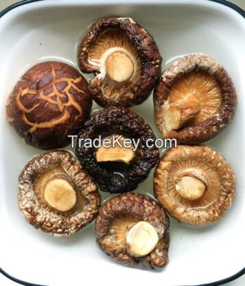 DELICIOUSLY DRIED SHIITAKE MUSHROOMS / HANDPICKED EXCELLENCE / GOURMET INGREDIENT / MADE IN VIETNAMUSHROOMS / TRADITIONAL GOODNESS / AFFORDABLE VALUE / MADE IN VIETNAM