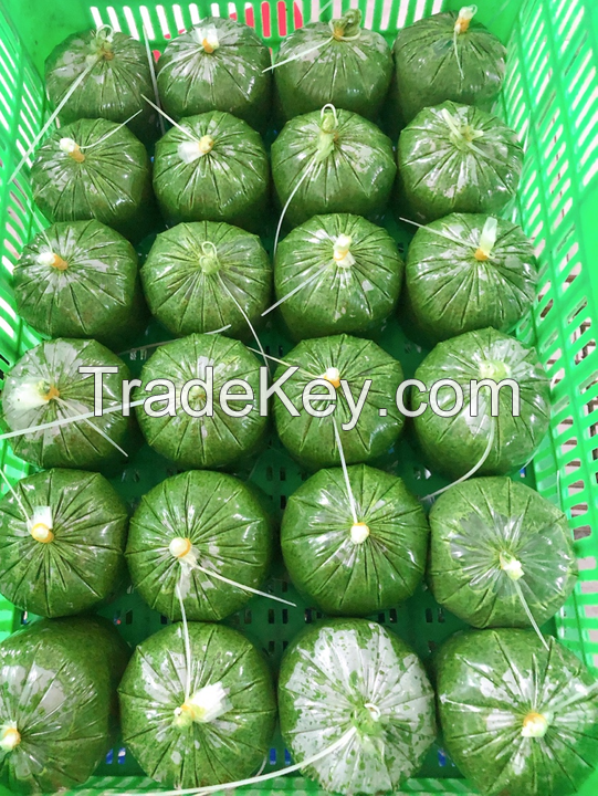 NATURAL FROZEN CASSAVA LEAVES / RICH IN VITAMINS / HIGHLY NUTRITIOUS / BEST PRICE / MADE IN VIETNAM